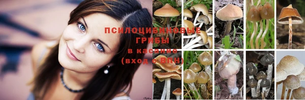 кокаин Аркадак