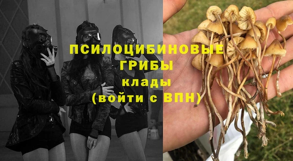 гидропоника Армянск