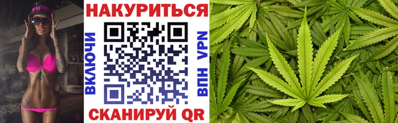 купить наркотик  mega ссылки  дарк нет состав  Пестово  Канабис Amnesia 
